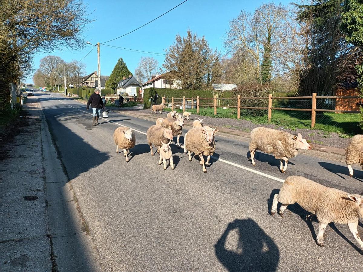 Campagne Et Mer Saâne-Saint-Just Esterno foto
